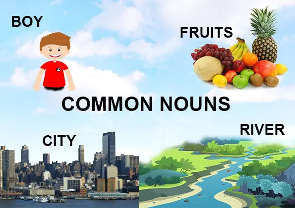 Common Noun