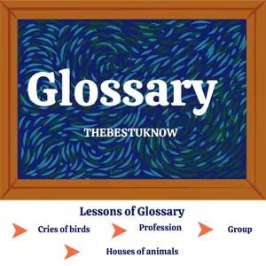 Glossary
